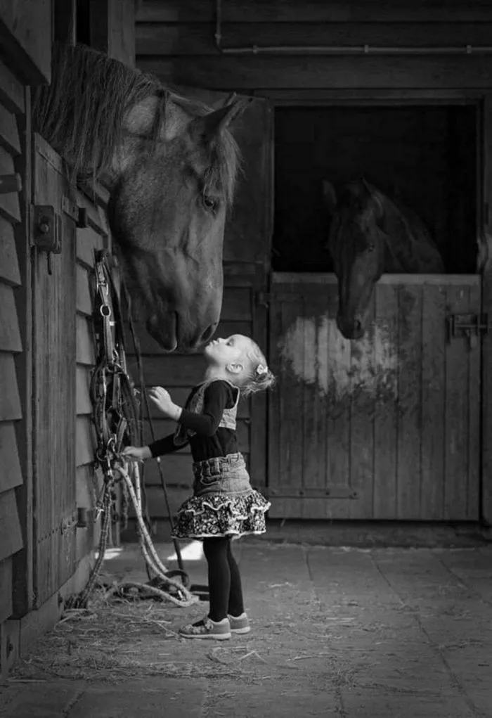 На общую тему