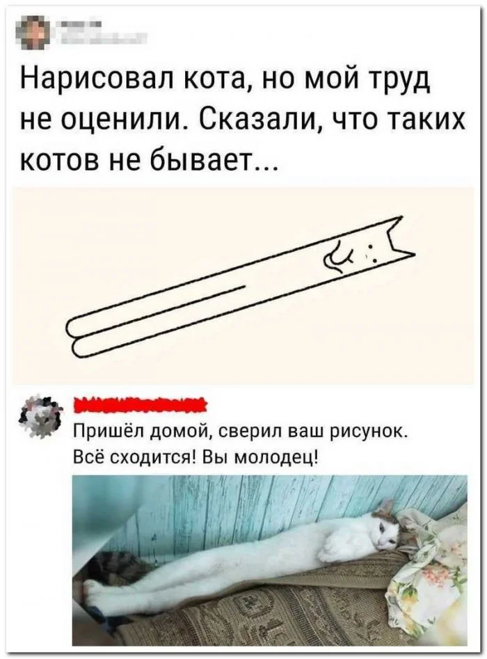 Скрины из соцсетей