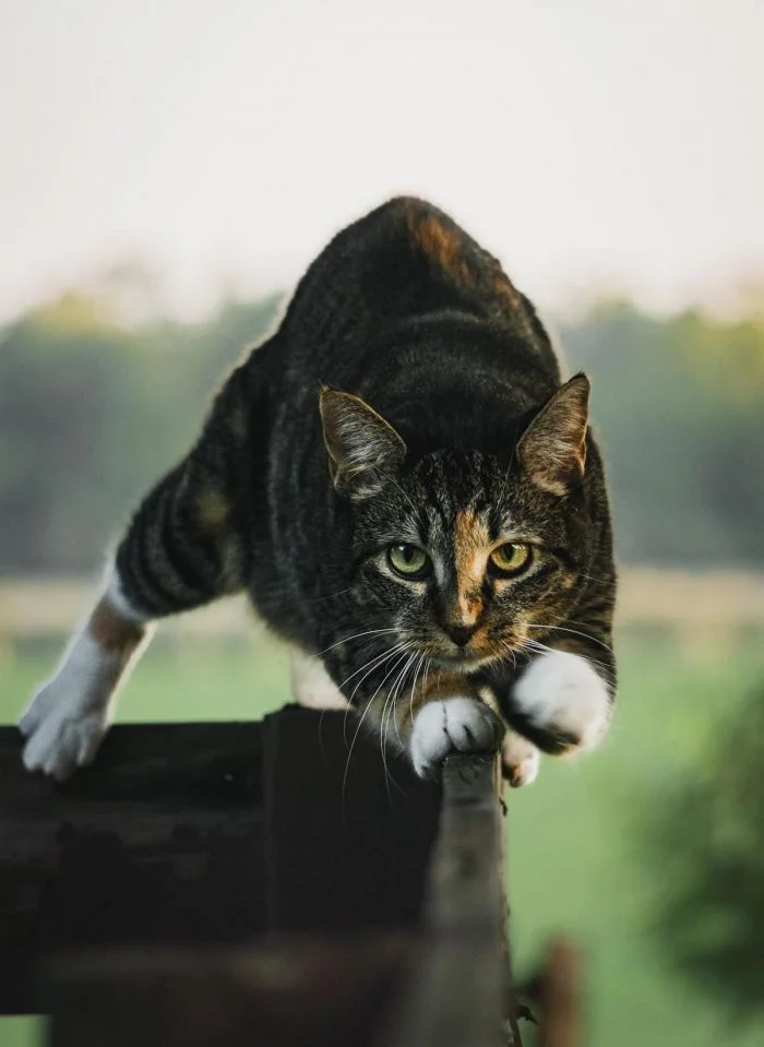 На общую тему (06.01.24)