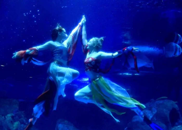 Всё вразнобой