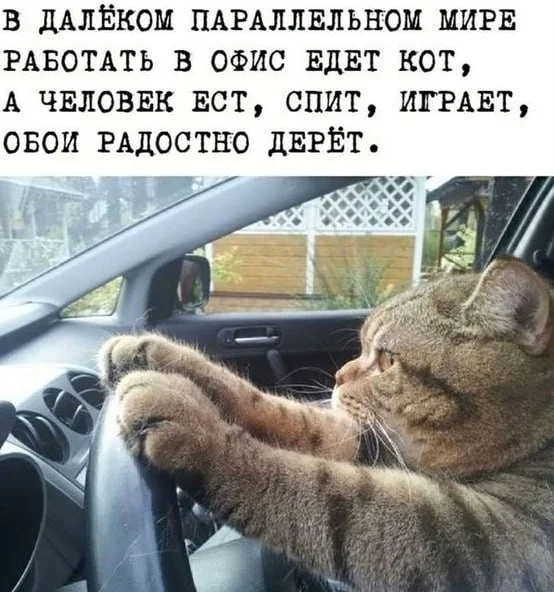 Так себе картинки