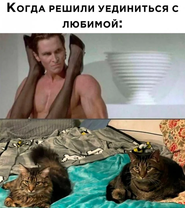Весёлые