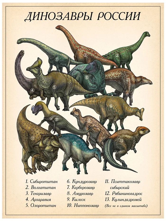 Древние обитатели: Динозавры обитащие в России