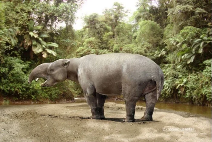 Пиротерий: Загадочный «Слон», который не связан со слонами