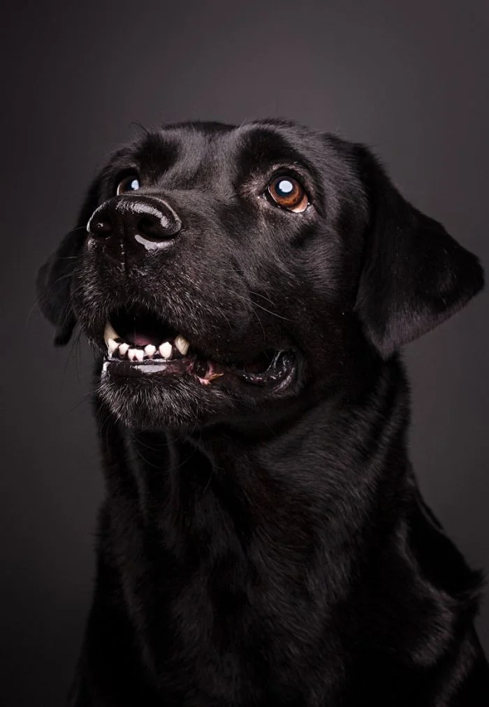 Всё вразнобой