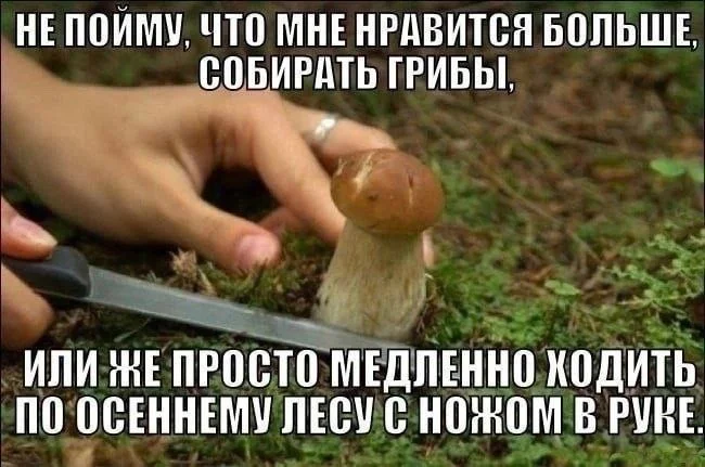 Нестандартный юмор :)