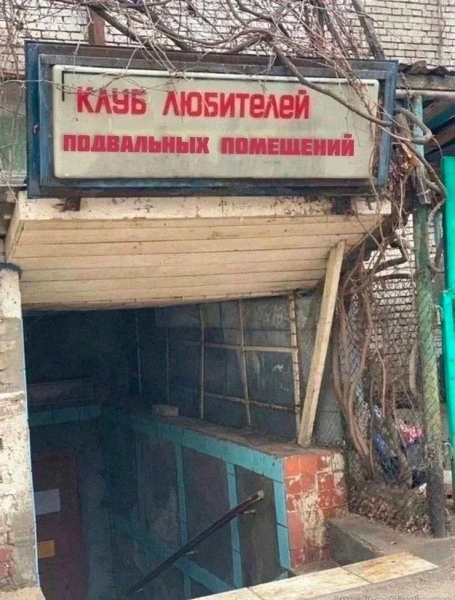 Картинки