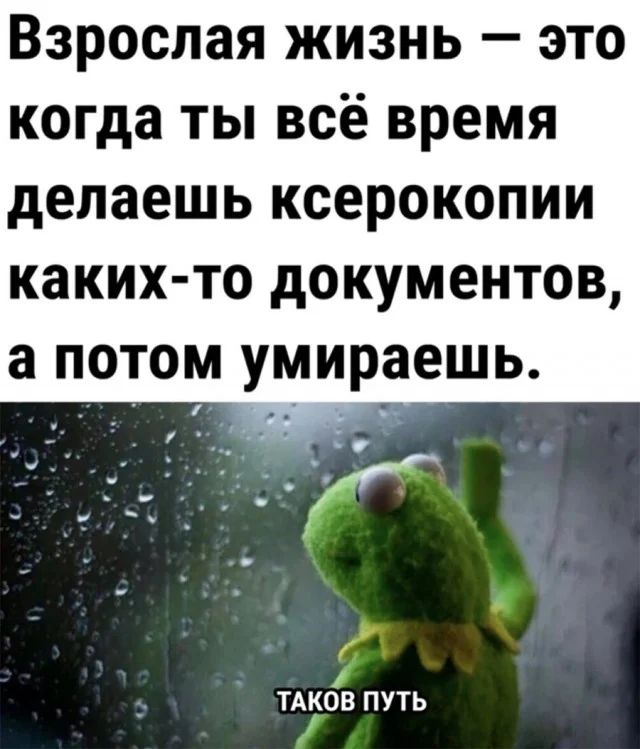 Немного картинок