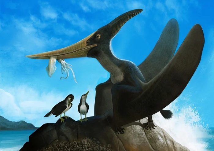 Тайны птеранодона: Загадки жизни самого знаменитого летающего ящера