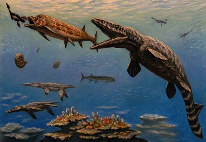 Морской тирант: Ксифактин, страшный хищник древности, покорявший акул и морских ящеров