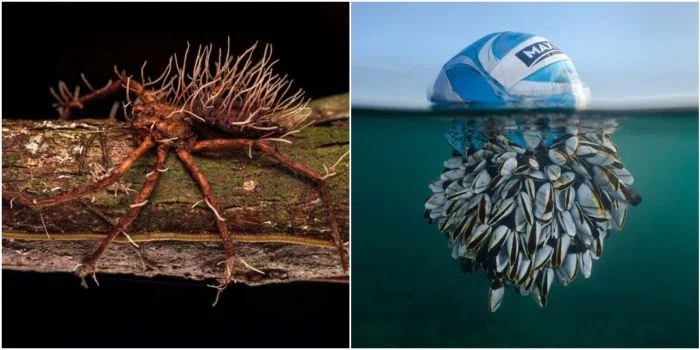 Природа в объективе: 30 потрясающих фотографий со всех уголков земного шара