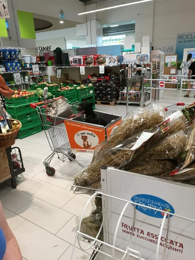 За границей по-другому: Фотографии из супермаркетов, которые поражают туристов своей необычностью