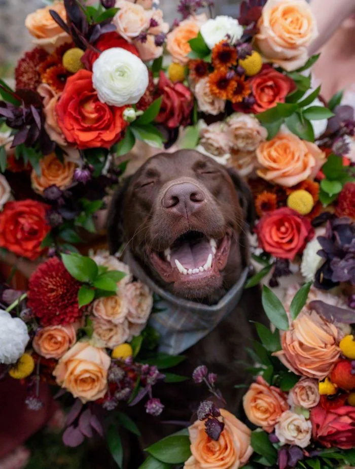 На общую тему