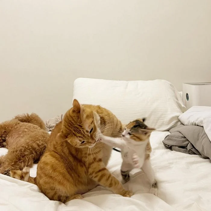 На общую тему (04.12.23)