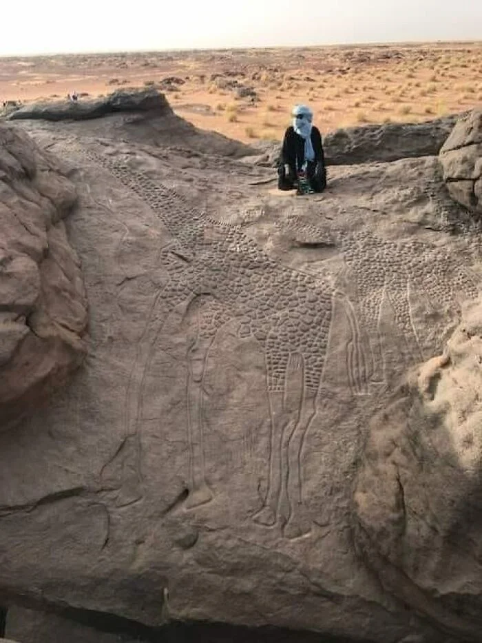 Сокровища прошлого: 25 потрясающих открытий археологии