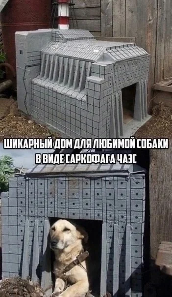 Нестандартный юмор :)