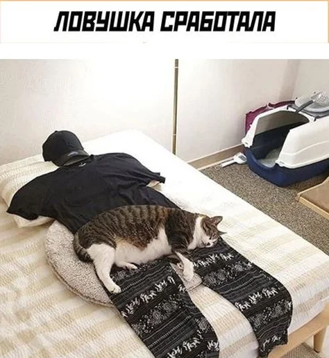 Так себе картинки (05.12.23)