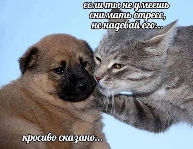 Весёлые (19.12.23)