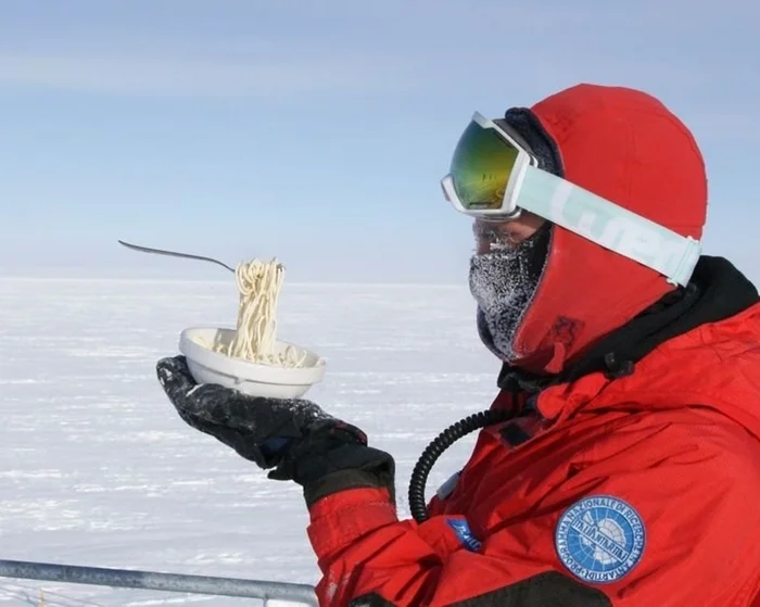 Морозоустойчивые звери: в поисках абсолютного рекордсмена, способного выжить при температуре -196°С