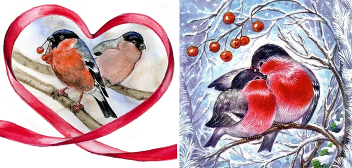 Снегири: ловушка в мире подарков. Важно быть внимательными при выборе открыток с этими птицами