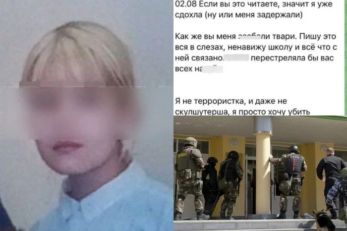 Темные записи: Дневник школьницы Алины, совершившей стрельбу в Брянске, размещен в социальных сетях