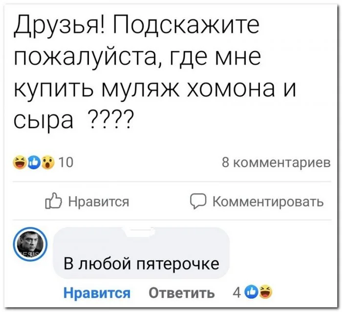 Скрины из соцсетей (12.12.23)