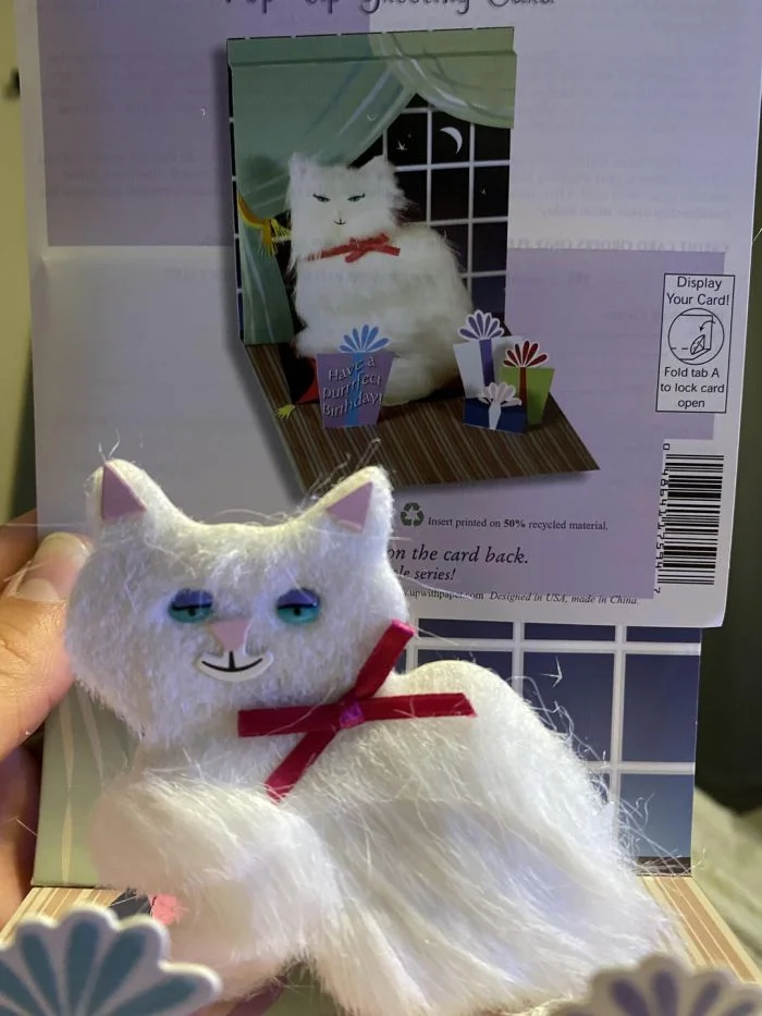 Удивительные особенности 16 вещей, противоречащих первому впечатлению