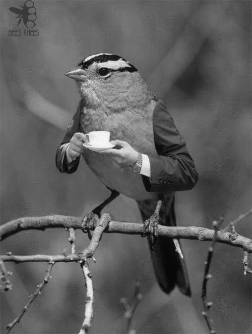 Необычные картинки - ver. 161