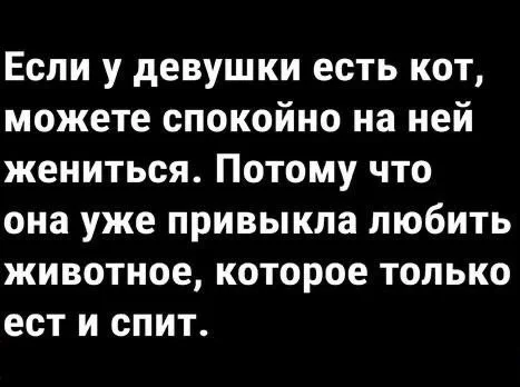 Картинки (19.01.24)