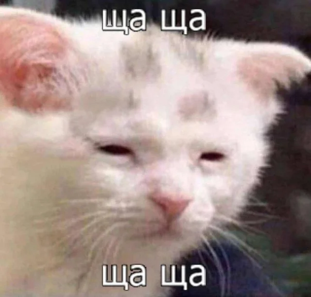 Картинки (19.01.24)