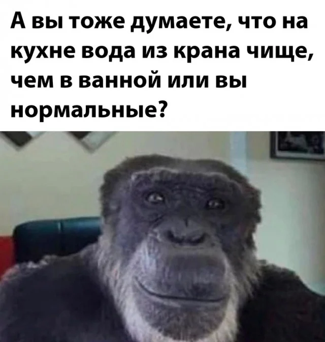 Весёлые