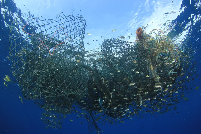 Экология мусорных островов: Как они могут приносить пользу океану?