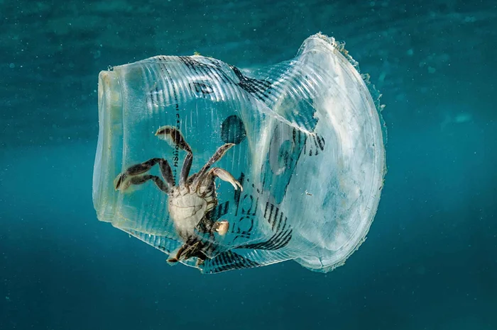 Экология мусорных островов: Как они могут приносить пользу океану?