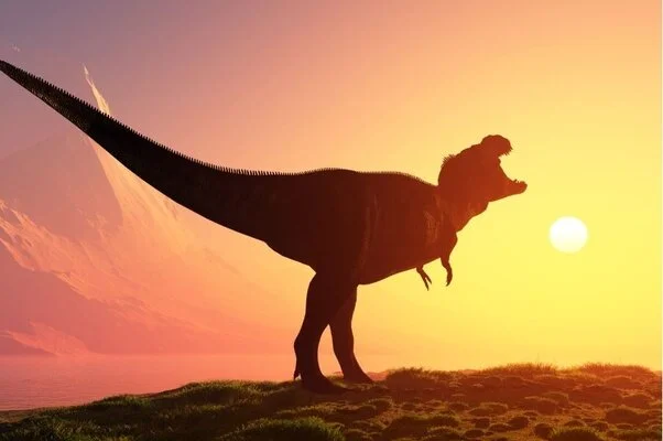 Эволюция хвостов: почему динозаврам нужны были огромные хвосты, а современные звери обходятся без них