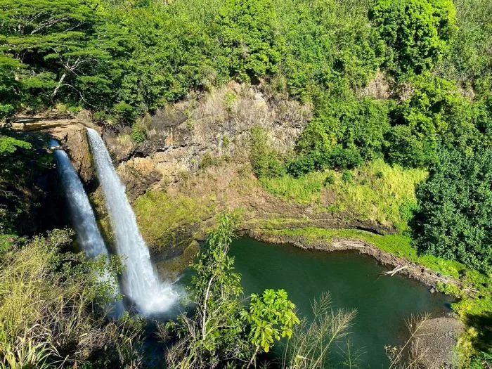 Фотографии с дикой природой