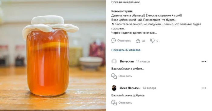 "В плену у грибов": беспокойство в соцсетях о загадочном исчезновении Василия, который обещал поделиться отзывом о чайном грибе