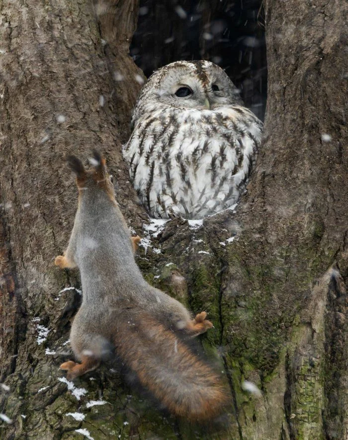 На общую тему (19.01.24)
