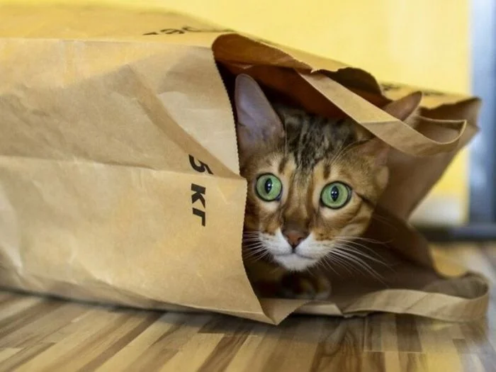 Милашки в пакетиках