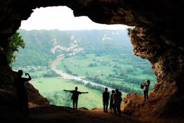 Всё вразнобой