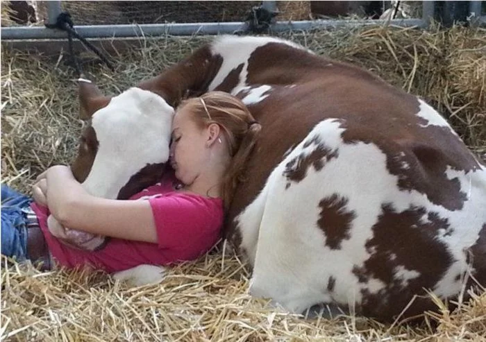 Всё вразнобой