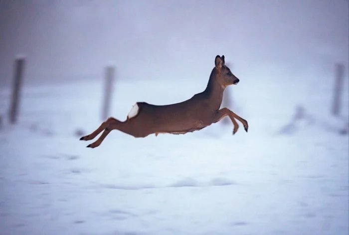 Подборка картинок на общую тему