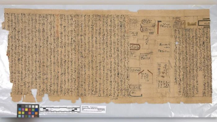 Тайны гробниц: 13 древних предметов, сопровождавших египетских усопших