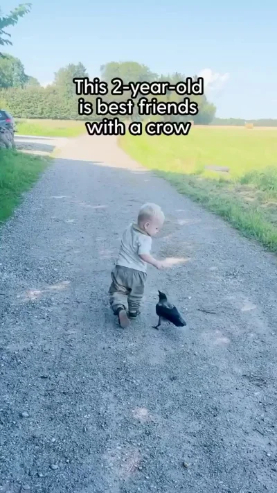 Маленький ребёнок и дикая ворона подружились⁠⁠