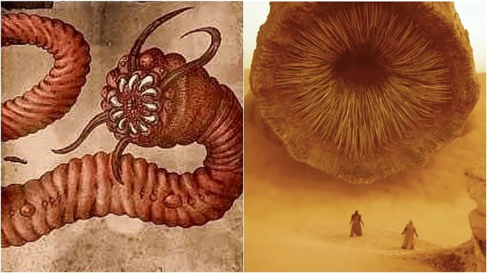 Монгольские загадки: раскрываем тайну истинной природы гигантского подземного червя