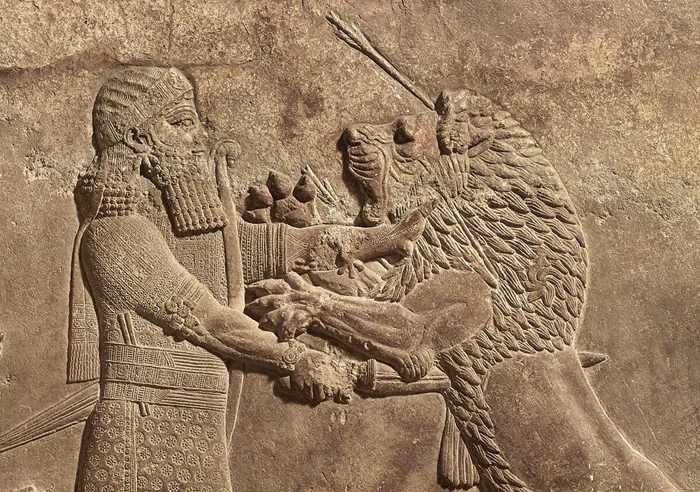 Умница, садист, библиотекарь