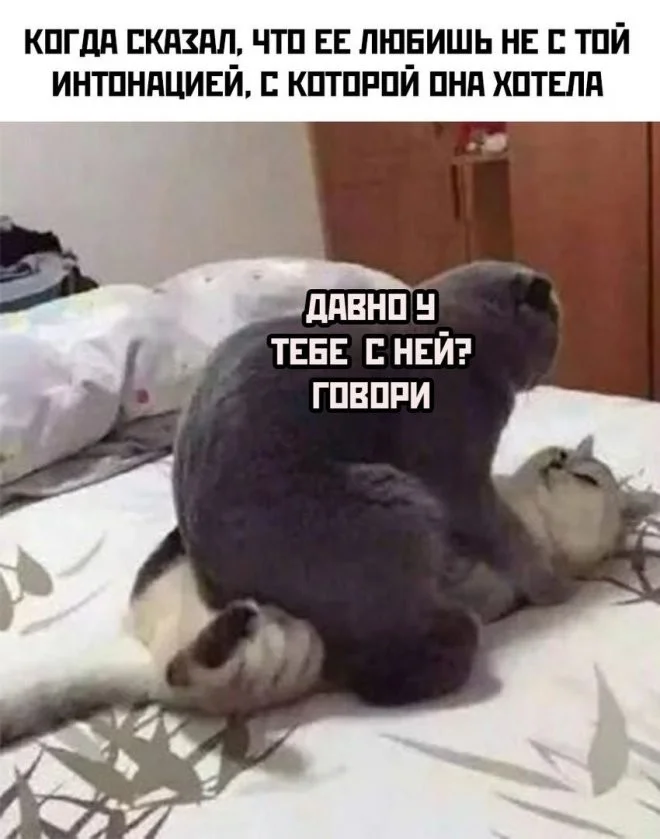 Скрины из соцсетей