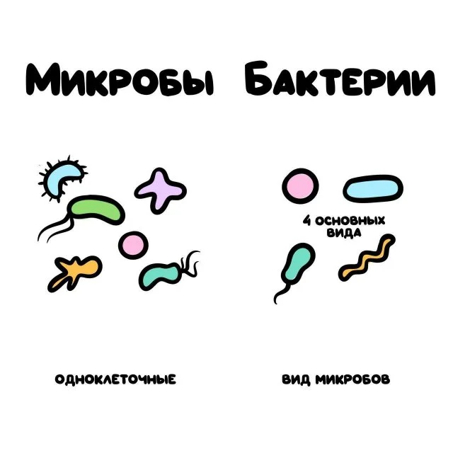 "Разве это не...?": забавные подсказки о том, как не путать вещи, которые часто путают