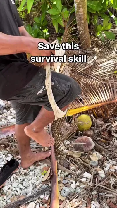 Как легко залезть на пальму
