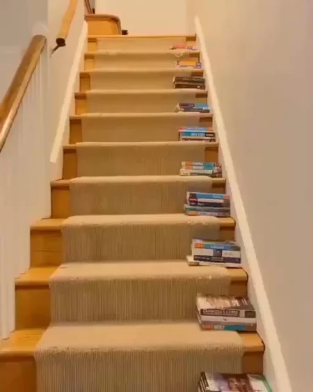 Заботливый хозяин сделал лестницу для котят