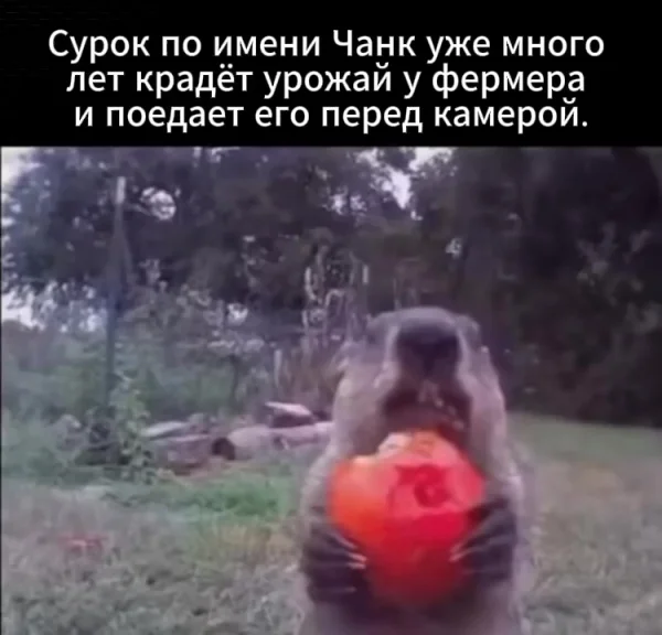 — Что ты собираешься с этим проглотом делать, Паша? Ничего...